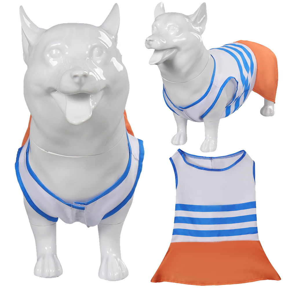 Dog Pets Clothes Nami Cosplay  - Live Action Anime Cosplay recension och pris