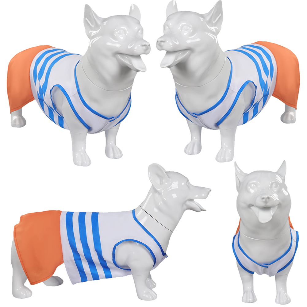 Dog Pets Clothes Nami Cosplay  - Live Action Anime Cosplay recension och pris