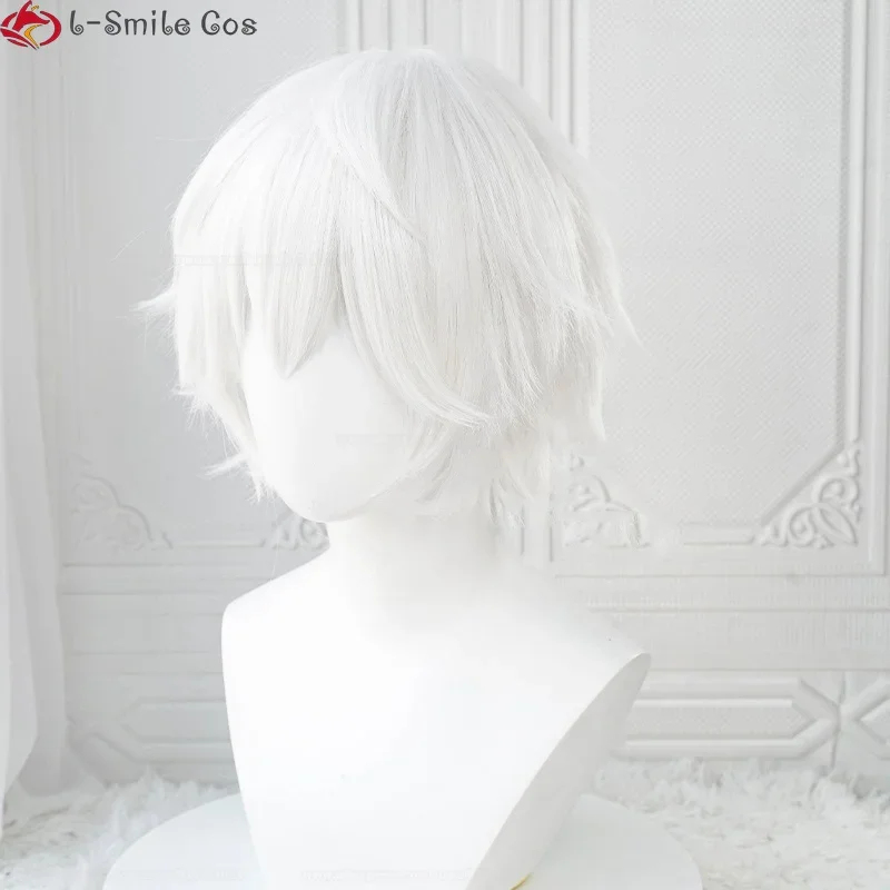 xiaoxiao Anime Killua Zoldyck  - Cosplay Anime White Hair recension och pris