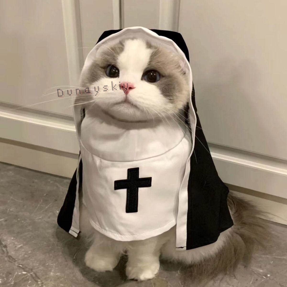 Christmas Pet Dog Cat Cosplay  - Anime Cosplay Nun recension och pris