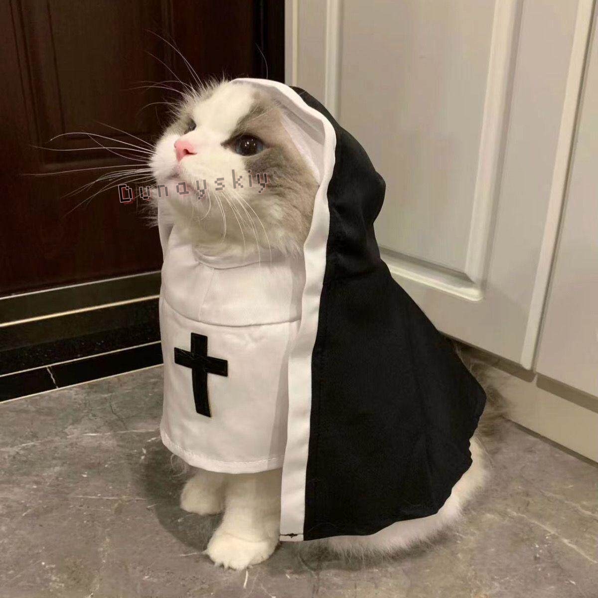 Christmas Pet Dog Cat Cosplay  - Anime Cosplay Nun recension och pris