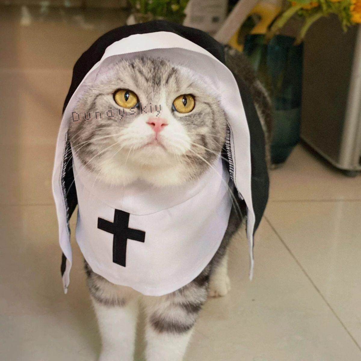 Christmas Pet Dog Cat Cosplay  - Anime Cosplay Nun recension och pris