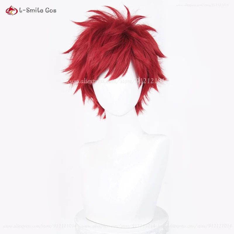 Anime Reinhard Van Astrea Cosp - Anime Cosplay Nun recension och pris