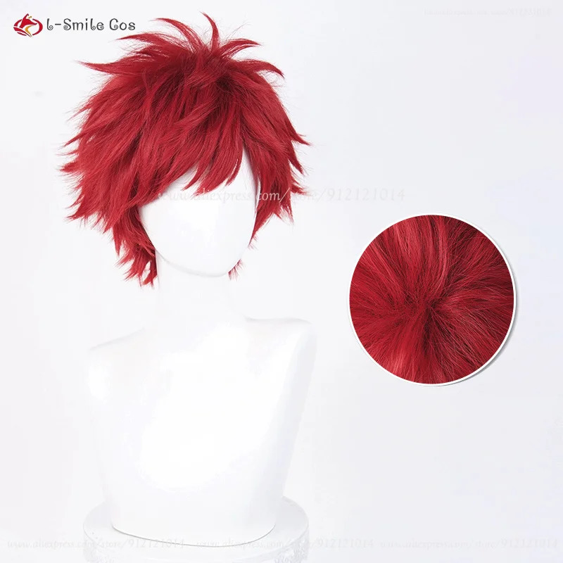Anime Reinhard Van Astrea Cosp - Anime Cosplay Nun recension och pris